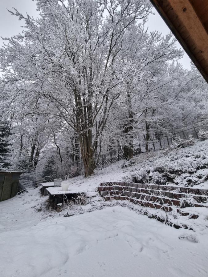 Ferienwohnung Schneeberg Stryck Dış mekan fotoğraf